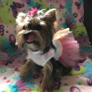 Meet your Posher, Kathy